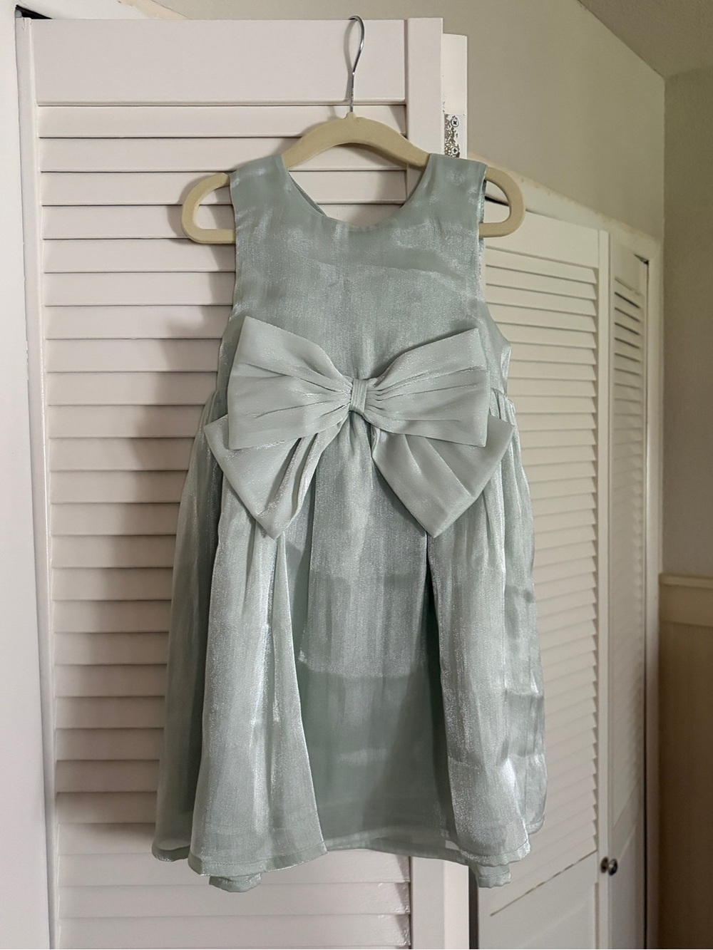 H&M Bow Detail Organza Dress Light Green 3–4Y NWT